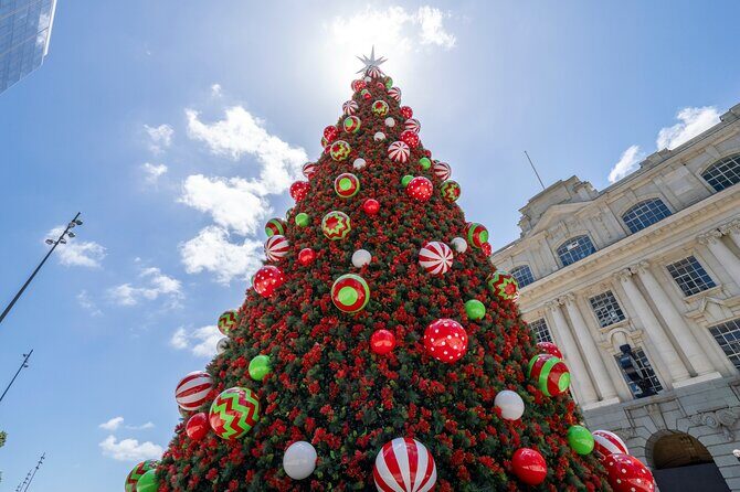 Private Christmas Walking Tour in Auckland City Lights - A Festive Journey Through Auckland: What to Expect