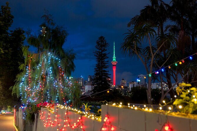 Private Christmas Walking Tour in Auckland City Lights - Who Will Enjoy This Tour Most?