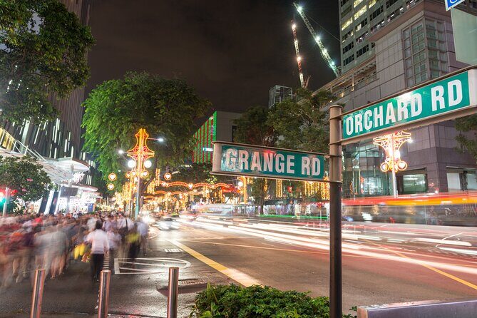 Private Christmas Walking Tour in Singapore with Orchard Lights - Final Thoughts