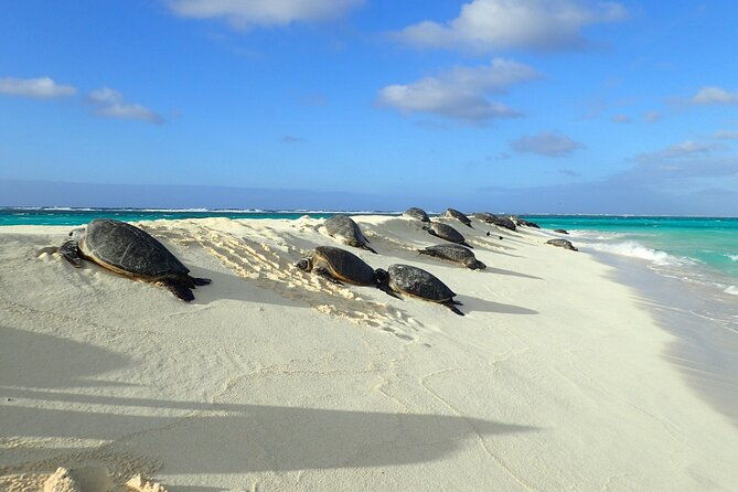 private-circle-island-tour-across-oahu-paradise