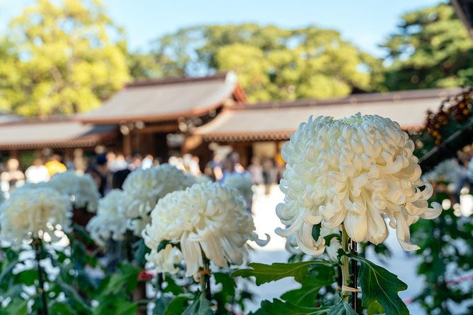 private-city-kickstart-tour-tokyo