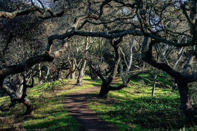 private-city-kickstart-tourthe-castro-mission-district