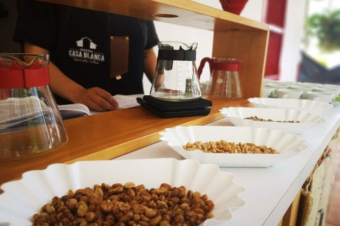 private-city-tour-in-bucaramanga-and-artisanal-coffee-tasting