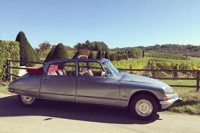 private-city-tour-of-bordeaux-with-wine-tasting-at-a-chateau-3h