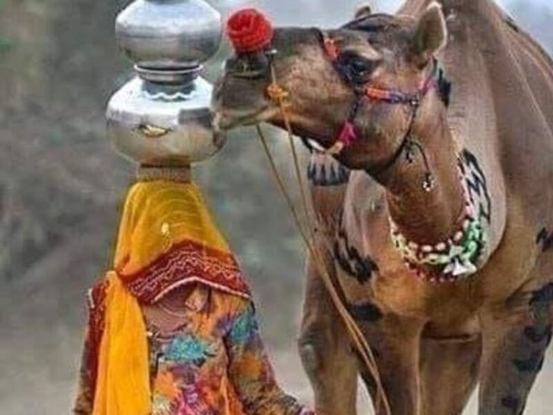 Private City Tour Of Jaipur From Delhi By Car - An In-Depth Look at the Jaipur Day Tour