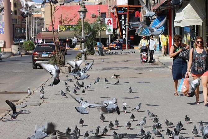 Private city tour with shopping - Key Points: