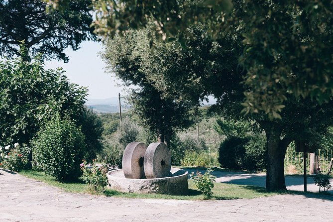 private-classic-wine-tour-in-chianti-from-florence