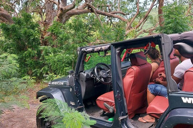 private-cmv-jeep-off-roading-tour-in-montserrat