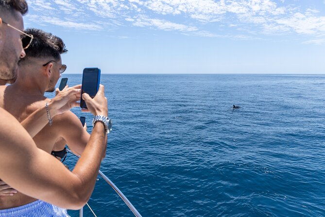 private-coastline-and-dolphins-yacht-cruise-from-albufeira
