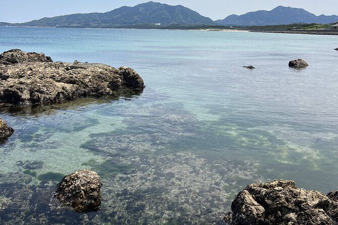 Private Coastline Ebike Tour in Fukuoka - An Overview of the Coastline Ebike Tour in Fukuoka