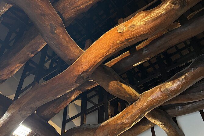 Private Coastline Ebike Tour in Fukuoka - The Detailed Itinerary