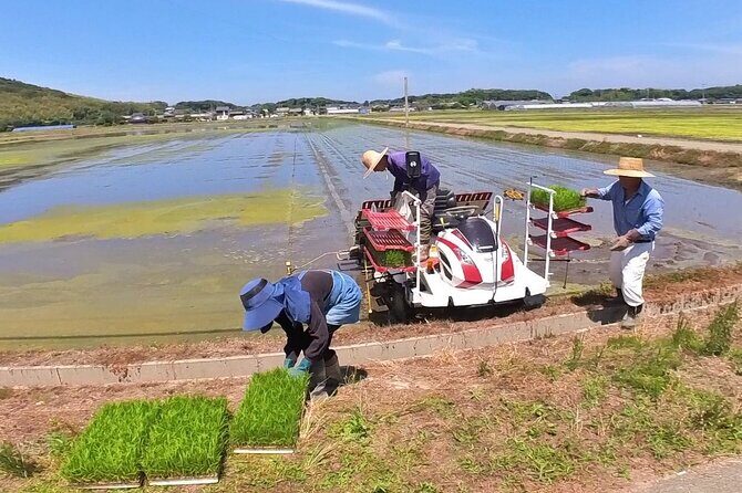 Private Coastline Ebike Tour in Fukuoka - Frequently Asked Questions (FAQs)