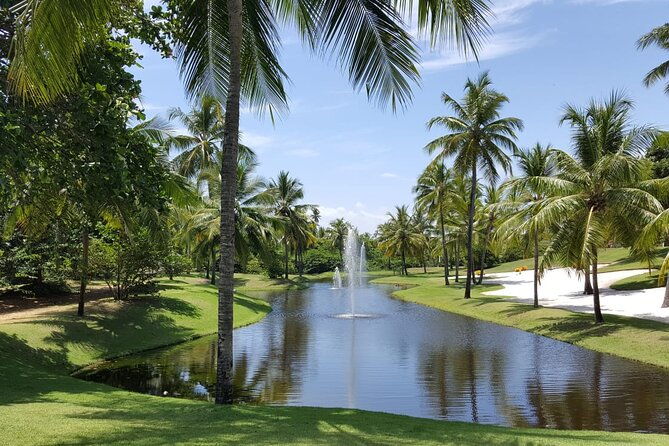 private-coconut-coast-praia-do-forte-tour-from-salvador