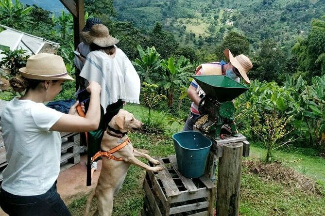 private-coffee-tour-in-jardin-antioquia