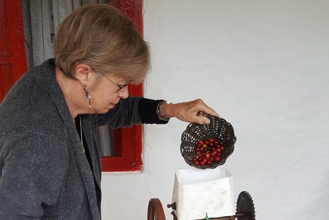private-coffee-tour-near-medellin-from-bean-to-cup