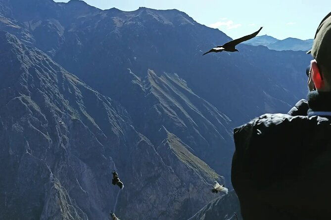 private-colca-full-day-tour-from-arequipa