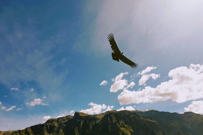 private-colca-full-day-tour-from-arequipa