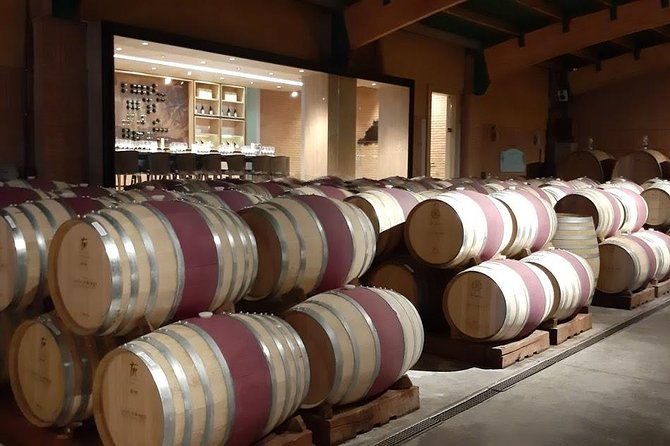 private-colchagua-valley-wine-tour-all-inclusive-from-santiago