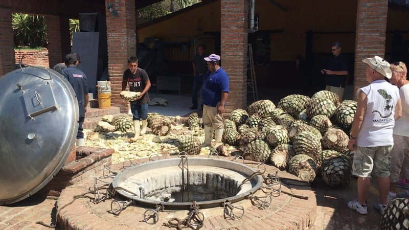 Private Colonial Tour Tequila and the Noria - Exploring the Private Colonial Tour of Tequila and La Noria