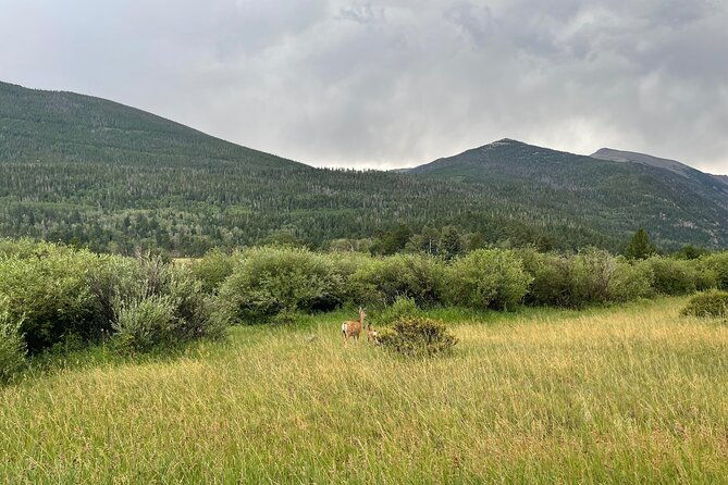 private-colorado-springs-city-tour-from-denver