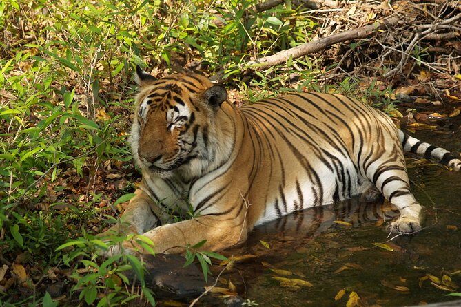 Private Corbett National Park & Nainital Tour from New Delhi - FAQ