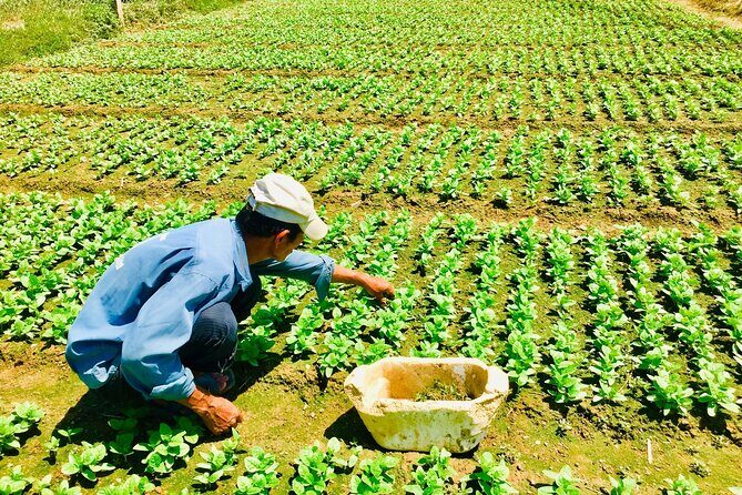 Private Countryside Tour Nha Trang And Visit An Orphanage - A Closer Look at the Itinerary