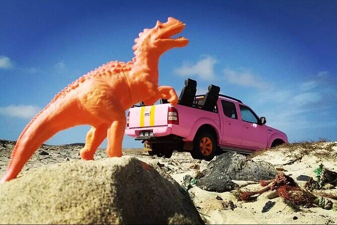 Private Creative Pictures Full Day Island Tour (Off Road inc.) - In The Sum Up