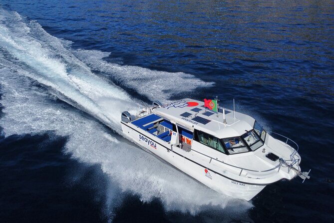 private-cruise-to-calheta-and-canical-coasts