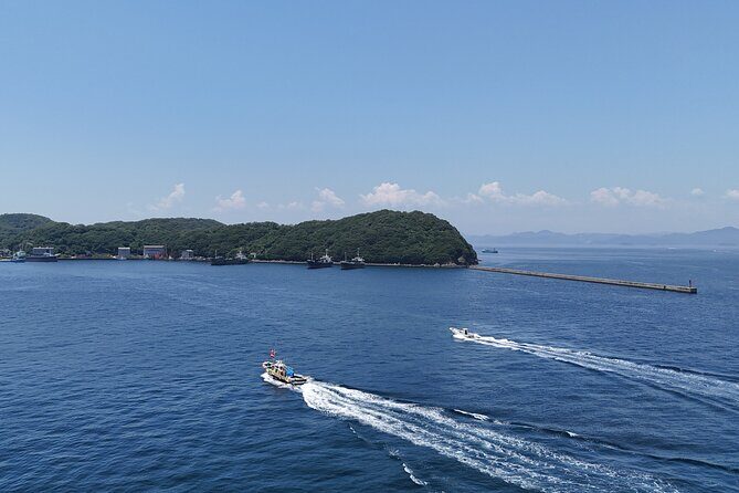 Private Cruise to Ieshima Island with Lunch Included - The Sum Up: A Luxurious Day with Authentic Flavors and Stunning Views
