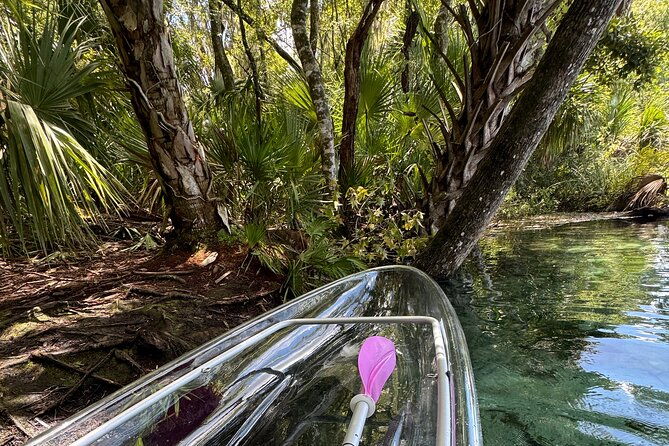 private-crystal-clear-2-hr-kayak-paddle-rental-on-rainbow-river