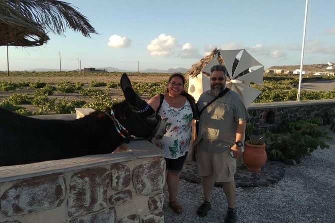 private-cultural-villages-sightseeing-akrotiri-excavations