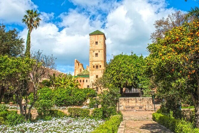 Private Cultural Walking Tour of Rabat with Licensed Tour Guide - Deep Dive into the Itinerary