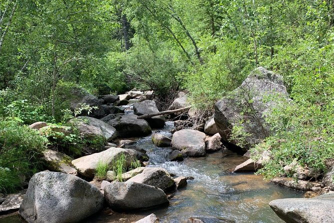 private-custer-state-park-safari-and-hiking-tour-2