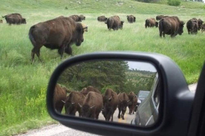 private-custer-state-park-safari-and-hiking-tour-2