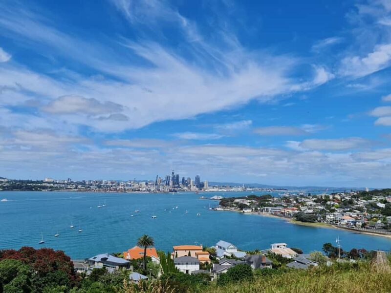 Private Custom: Auckland City Hidden Gem Tour - Key Points