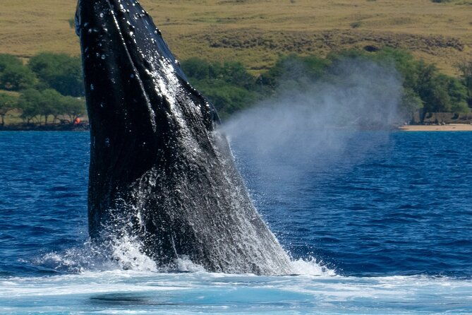 private-custom-charter-in-kawaihae