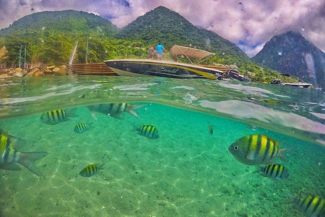 private-custom-coastal-cruise-st-lucia-half-day