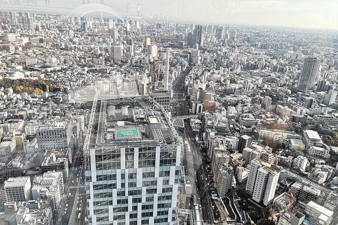 private-custom-day-in-tokyo-secrets-and-highlights-with-a-local-guide