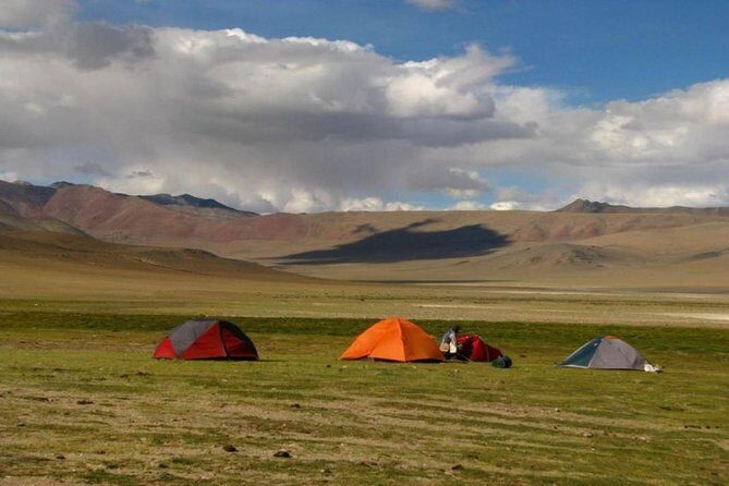 Private Custom Excursion Tour to Likir from Leh with Guide - Who Should Consider This Tour?
