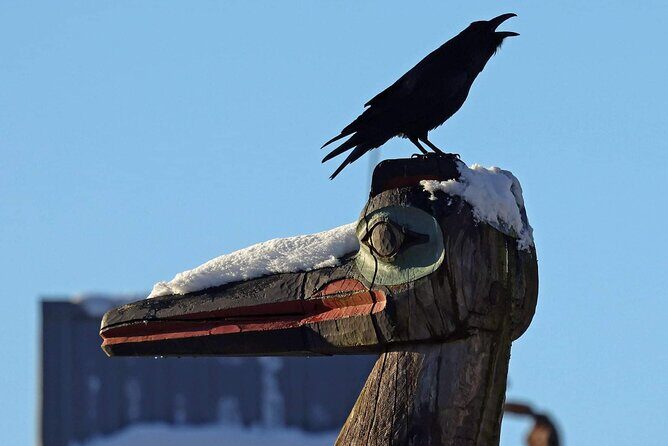 Private Custom Excursion with a Local for up to 14 people - Discover the Authentic Spirit of Ketchikan