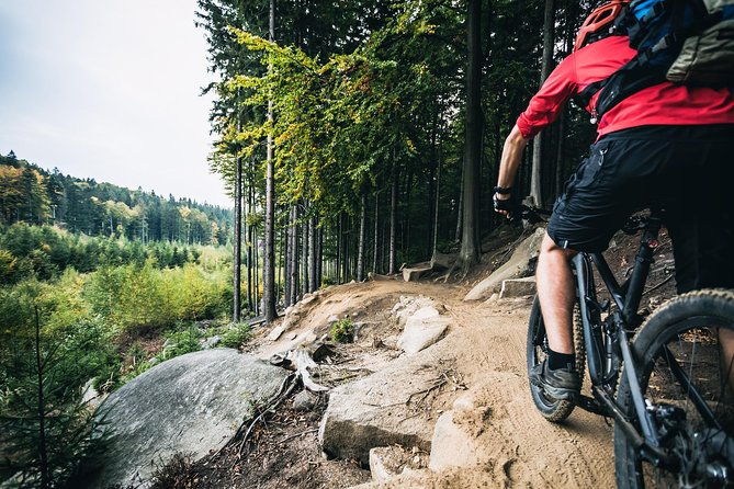 private-custom-guided-mountain-bike-tour-from-prague
