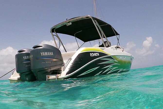 private-custom-snorkeling-and-cruising-experience-in-aruba