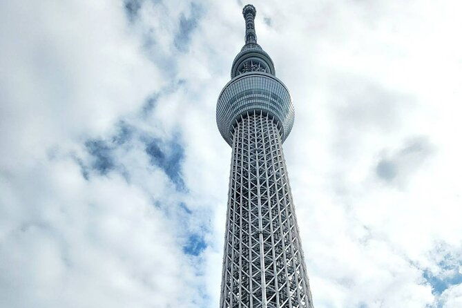 private-custom-tokyo-tour-with-a-tokyo-resident-pro-guide-by-car