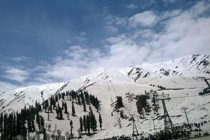 Private Custom Tour: Gulmarg local Sightseeing with guide - Key Points