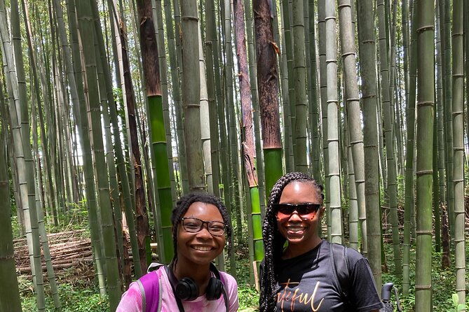 private-custom-tour-kyoto-in-one-day