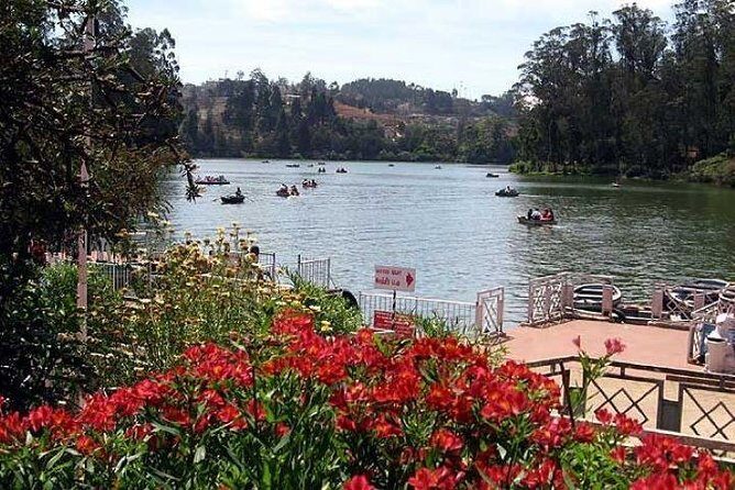 Private Custom Tour: Ooty Sightseeing with Guide - Who Should Consider This Tour?