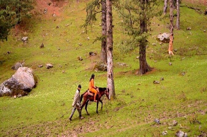 Private Custom Tour: Pahalgam sightseeing with guide - Practical Details and Experience Tips