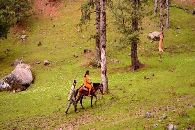 Private Custom Tour: Pahalgam sightseeing with guide - Frequently Asked Questions