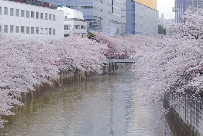 private-custom-tour-tokyo-in-a-day