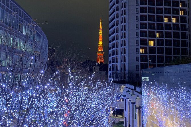 private-custom-tour-tokyo-in-a-day